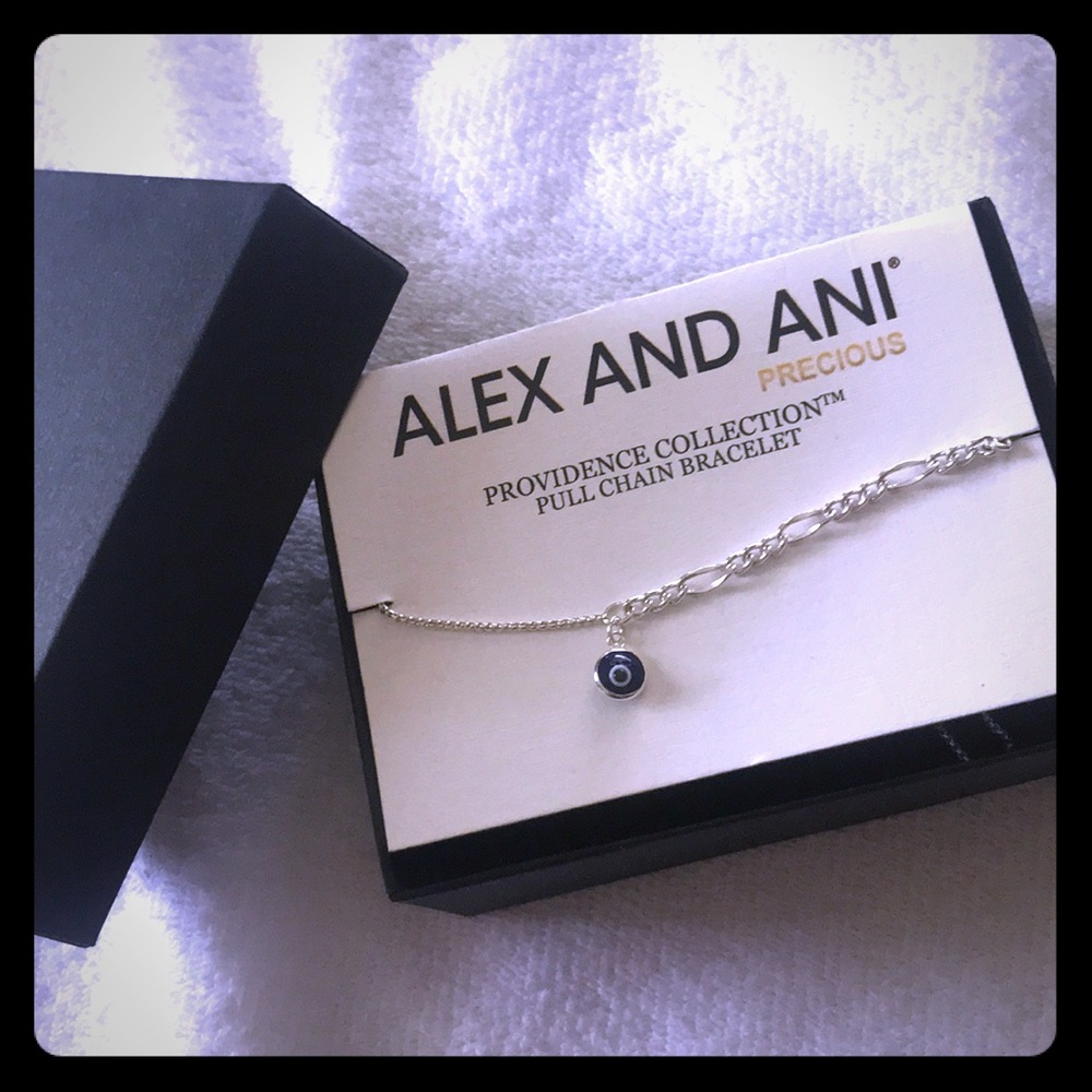 Alex and Ani- Providence Collection bracelet